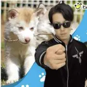 ねこかんの画像