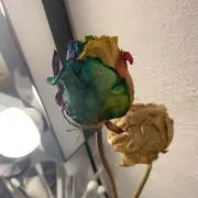 HMちゃん☆即購入OK