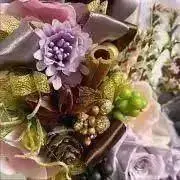 Syr★プロフ必読の画像