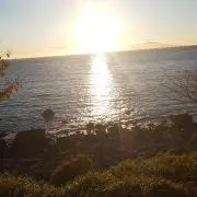 のんりの画像