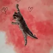 ゆうねこの画像