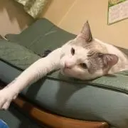 ゆい