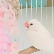 ゆり【最安値保証します】の画像