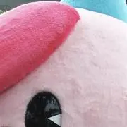 eririの画像