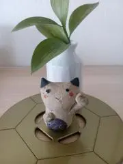 maruの画像