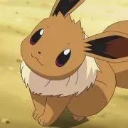 よもぎ  (只今お値下げ中！)の画像