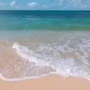 moguの画像
