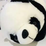 ぱんだの画像