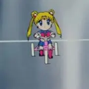 Tam