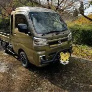 エゴの花 HOBBY BOXの画像