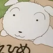 ちょちん  即購入&まとめ大歓迎の画像