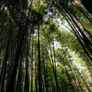 Smmanna34の画像