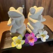 Y＿SHOPの画像