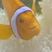 カスの極みの画像