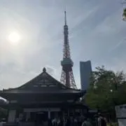 ヤマショー☆★の画像