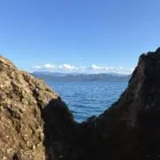 TKの画像