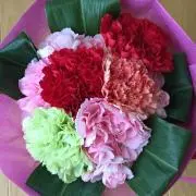 おひさま