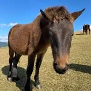 プロフ必読！の画像