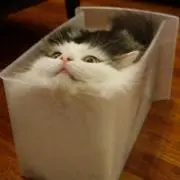 あんきち