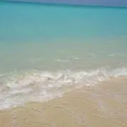 ガングロたまご