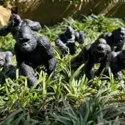 ししどの画像