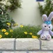 ややこの画像
