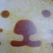 あーの画像