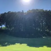 つっき　まとめ売り対応可の画像
