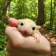 さみぃぃぃの画像