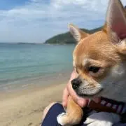 ☆aki☆ 送料無料の画像