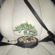 ₺ƾ₺ƾ