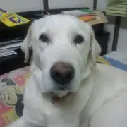 大越和人