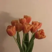 みな