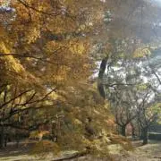 新川の画像