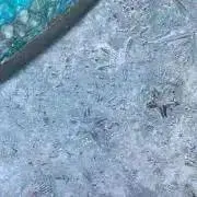にざかなの画像