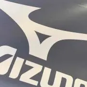 Adedasu