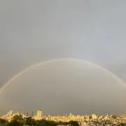 リーの画像
