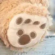 coco★の画像