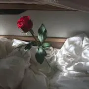 mmi__