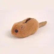 とうこの画像
