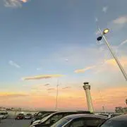 ナナシの画像