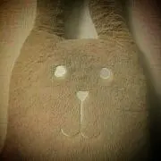 ほのぼの家族