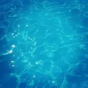 やっぴーの画像