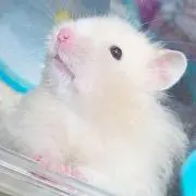 とあ