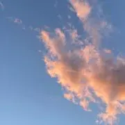 coco☆の画像