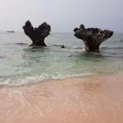 奏多の画像