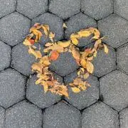 fr_0817の画像