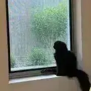 つなまよの画像