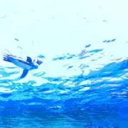 基本無言 値下げ可の画像