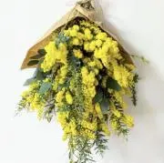 reomamの画像